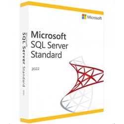 Microsoft SQL Server 2022 Standard Edition