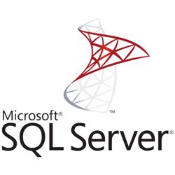 Microsoft SQL Server 2022 - 1 User CAL